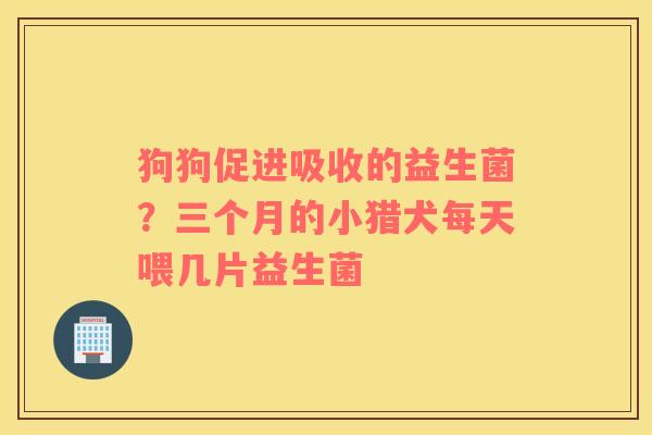 狗狗促进吸收的益生菌？三个月的小猎犬每天喂几片益生菌