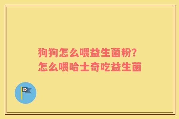 狗狗怎么喂益生菌粉？怎么喂哈士奇吃益生菌