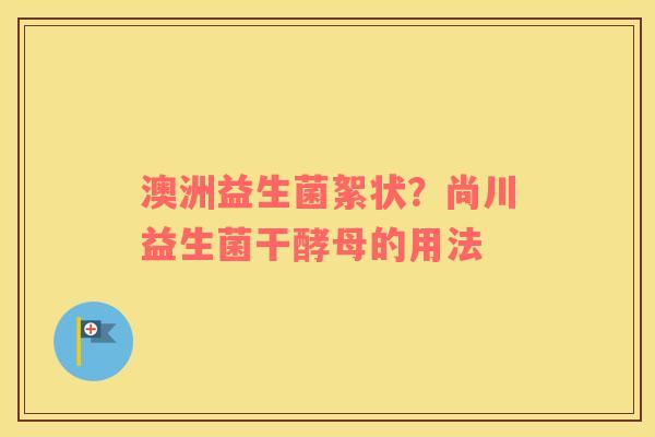 澳洲益生菌絮状？尚川益生菌干酵母的用法