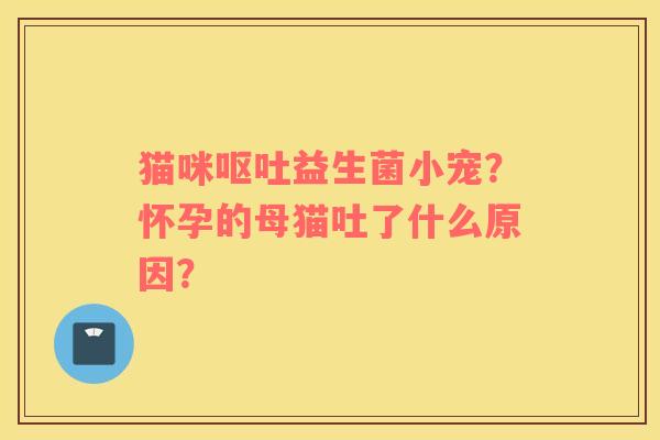 猫咪呕吐益生菌小宠？怀孕的母猫吐了什么原因？