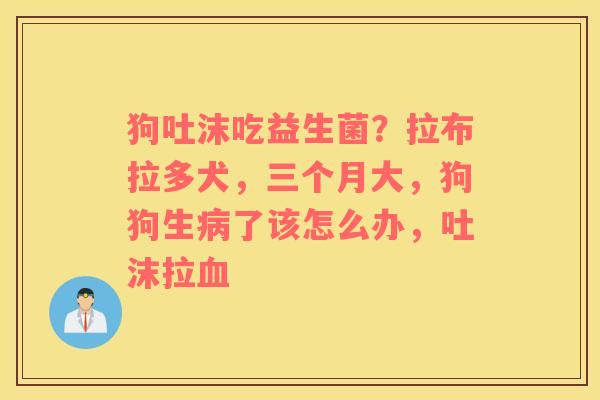 狗吐沫吃益生菌？拉布拉多犬，三个月大，狗狗生病了该怎么办，吐沫拉血
