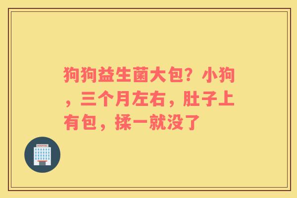 狗狗益生菌大包？小狗，三个月左右，肚子上有包，揉一就没了