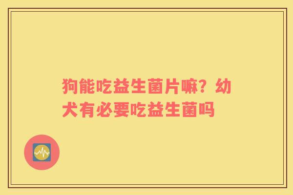 狗能吃益生菌片嘛？幼犬有必要吃益生菌吗