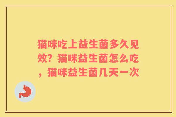 猫咪吃上益生菌多久见效？猫咪益生菌怎么吃，猫咪益生菌几天一次
