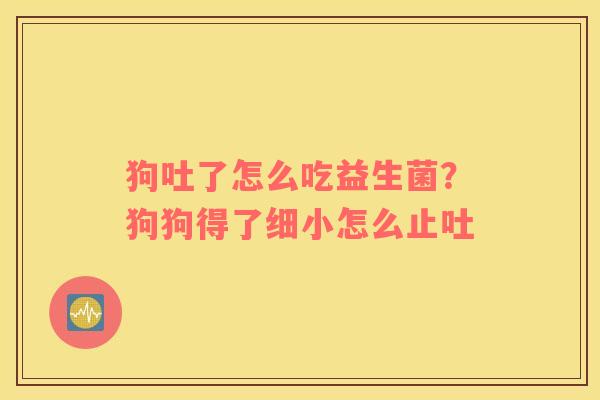 狗吐了怎么吃益生菌？狗狗得了细小怎么止吐