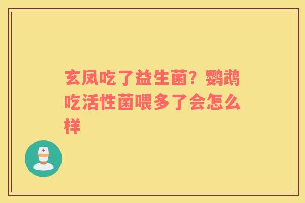 玄凤吃了益生菌？鹦鹉吃活性菌喂多了会怎么样