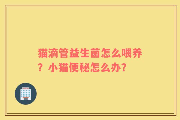 猫滴管益生菌怎么喂养？小猫便秘怎么办？