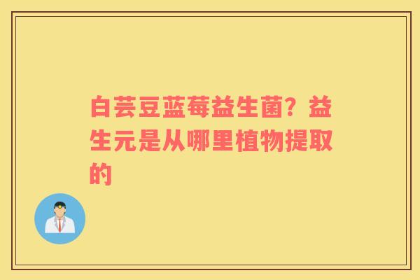 白芸豆蓝莓益生菌？益生元是从哪里植物提取的