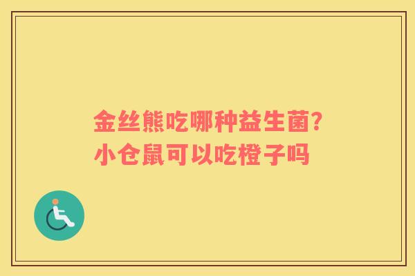 金丝熊吃哪种益生菌？小仓鼠可以吃橙子吗