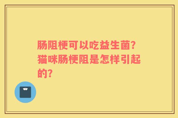 肠阻梗可以吃益生菌？猫咪肠梗阻是怎样引起的？