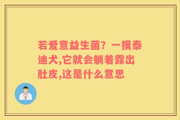 若爱意益生菌？一摸泰迪犬,它就会躺着露出肚皮,这是什么意思