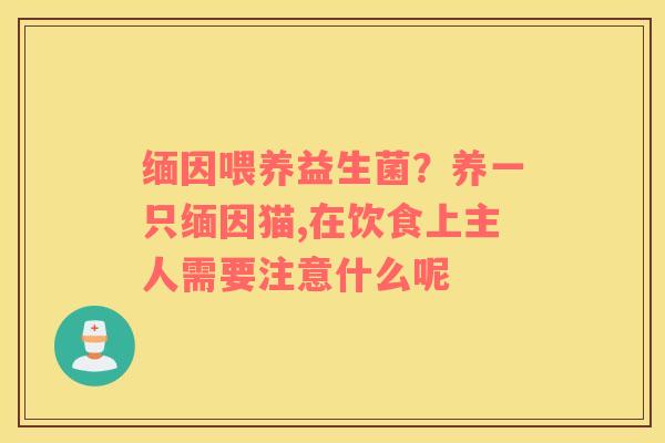 缅因喂养益生菌？养一只缅因猫,在饮食上主人需要注意什么呢