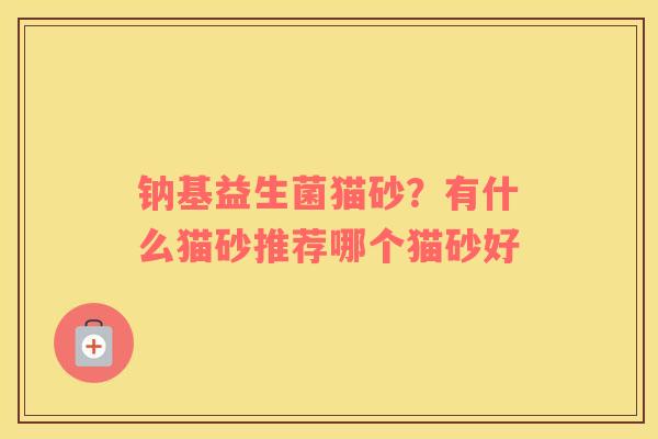 钠基益生菌猫砂？有什么猫砂推荐哪个猫砂好