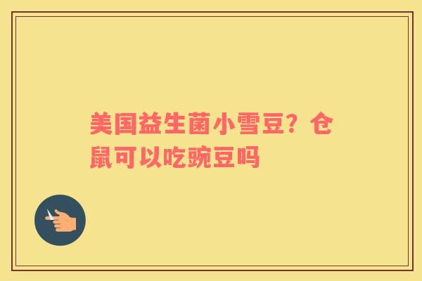 美国益生菌小雪豆？仓鼠可以吃豌豆吗