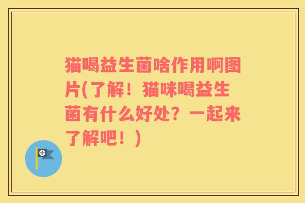 猫喝益生菌啥作用啊图片(了解!猫咪喝益生菌有什么好处?一起来了解吧!) 猫喝益生菌啥作用啊图片(了解!猫咪喝益生菌有什么好处?一起来了解吧!)