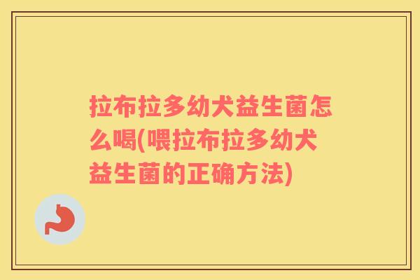 拉布拉多幼犬益生菌怎么喝(喂拉布拉多幼犬益生菌的正确方法)