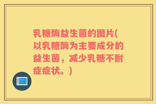 乳糖酶益生菌的图片(以乳糖酶为主要成分的益生菌,减少症症状。) 乳糖酶益生菌的图片(以乳糖酶为主要成分的益生菌,减少症症状。)