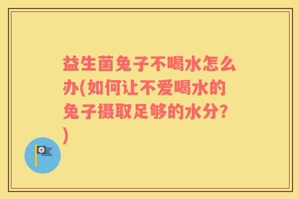 益生菌兔子不喝水怎么办(如何让不爱喝水的兔子摄取足够的水分?) 益生菌兔子不喝水怎么办(如何让不爱喝水的兔子摄取足够的水分?)