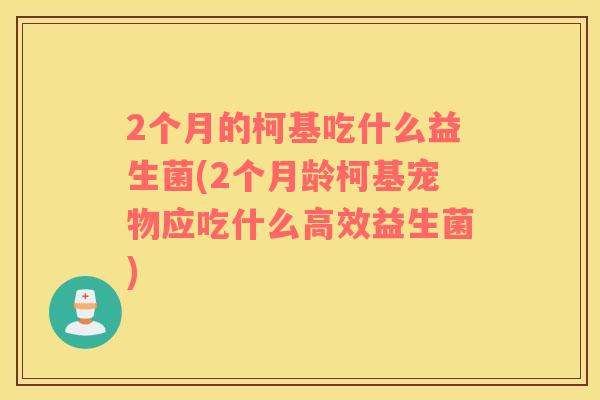2个月的柯基吃什么益生菌(2个月龄柯基宠物应吃什么高效益生菌)