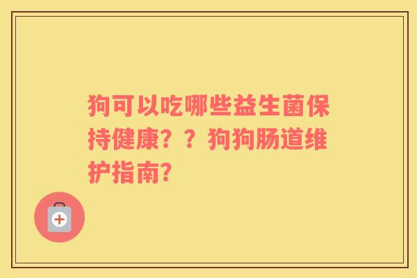 狗可以吃哪些益生菌保持健康？？狗狗肠道维护指南？
