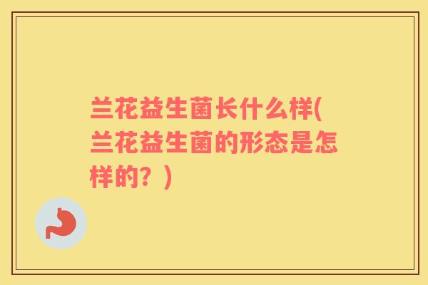 兰花益生菌长什么样(兰花益生菌的形态是怎样的？)