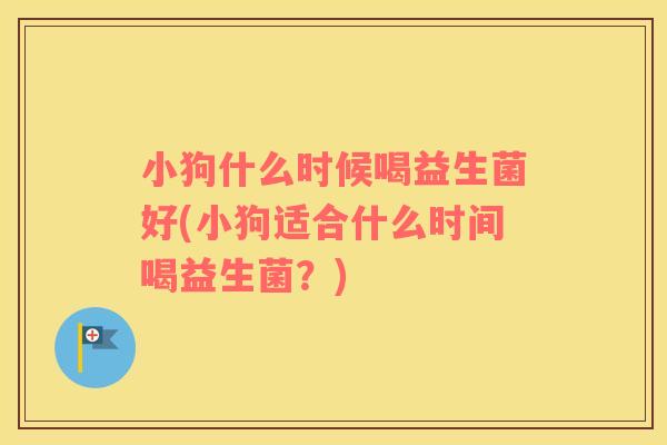 小狗什么时候喝益生菌好(小狗适合什么时间喝益生菌？)