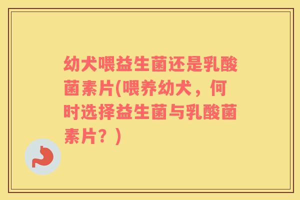 幼犬喂益生菌还是乳酸菌素片(喂养幼犬，何时选择益生菌与乳酸菌素片？)
