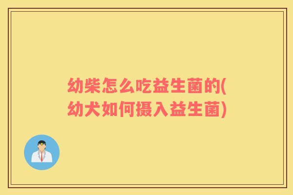 幼柴怎么吃益生菌的(幼犬如何摄入益生菌)