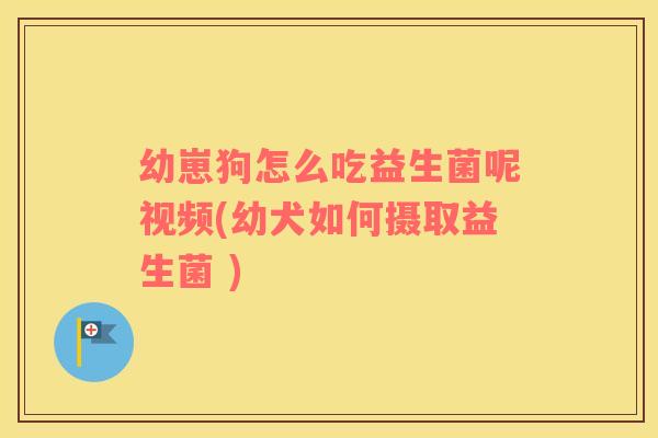 幼崽狗怎么吃益生菌呢视频(幼犬如何摄取益生菌 )