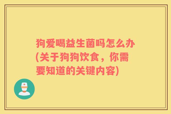 狗爱喝益生菌吗怎么办(关于狗狗饮食,你需要知道的关键内容) 狗爱喝益生菌吗怎么办(关于狗狗饮食,你需要知道的关键内容)