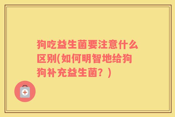 狗吃益生菌要注意什么区别(如何明智地给狗狗补充益生菌？)