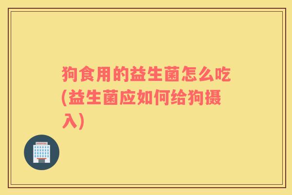 狗食用的益生菌怎么吃(益生菌应如何给狗摄入)