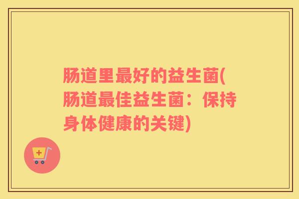 肠道里好的益生菌(肠道佳益生菌：保持身体健康的关键)