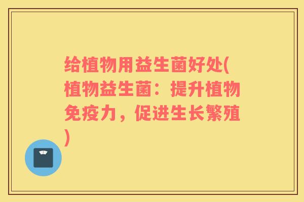 给植物用益生菌好处(植物益生菌：提升植物力，促进生长繁殖)