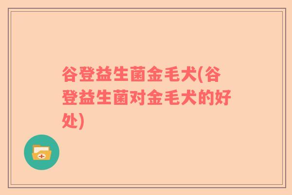 谷登益生菌金毛犬(谷登益生菌对金毛犬的好处)