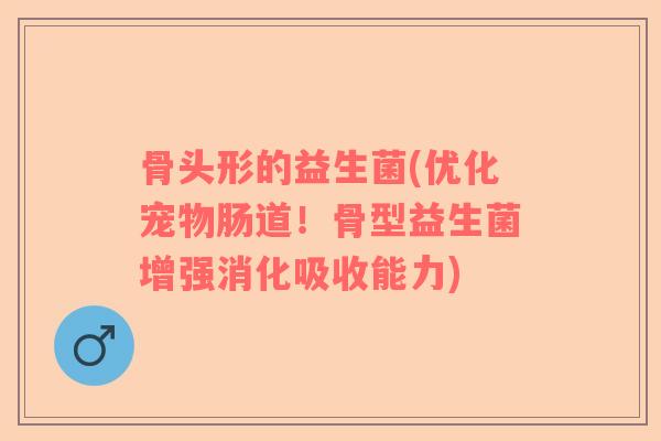 骨头形的益生菌(优化宠物肠道！骨型益生菌增强消化吸收能力)