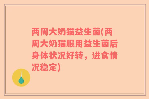 两周大奶猫益生菌(两周大奶猫服用益生菌后身体状况好转，进食情况稳定)