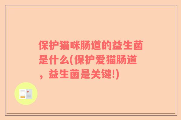 保护猫咪肠道的益生菌是什么(保护爱猫肠道,益生菌是关键!) 保护猫咪肠道的益生菌是什么(保护爱猫肠道,益生菌是关键!)