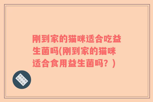 刚到家的猫咪适合吃益生菌吗(刚到家的猫咪适合食用益生菌吗?) 刚到家的猫咪适合吃益生菌吗(刚到家的猫咪适合食用益生菌吗?)