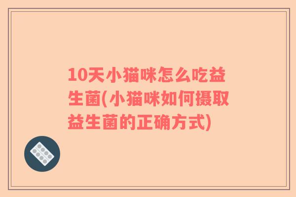 10天小猫咪怎么吃益生菌(小猫咪如何摄取益生菌的正确方式)