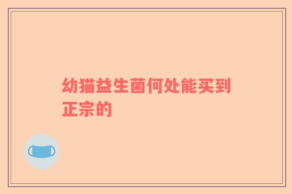 幼猫益生菌何处能买到正宗的
