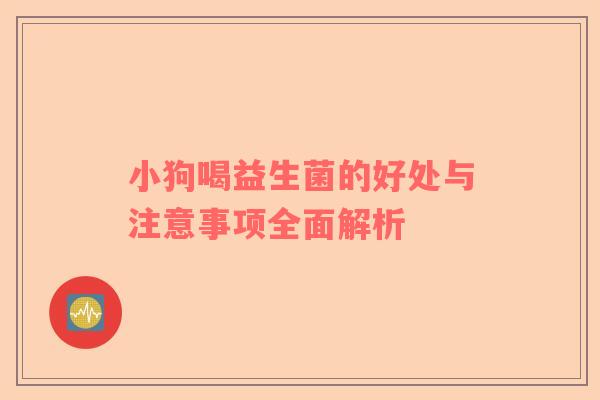 小狗喝益生菌的好处与注意事项全面解析