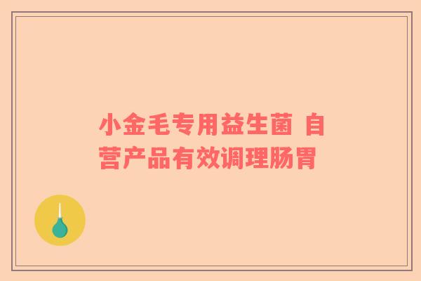 小金毛专用益生菌 自营产品有效调理肠胃