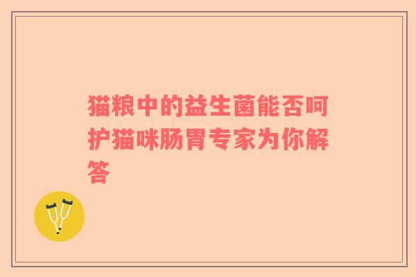 猫粮中的益生菌能否呵护猫咪肠胃专家为你解答