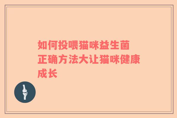 如何投喂猫咪益生菌 正确方法大让猫咪健康成长