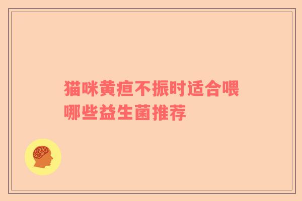 猫咪黄疸不振时适合喂哪些益生菌推荐
