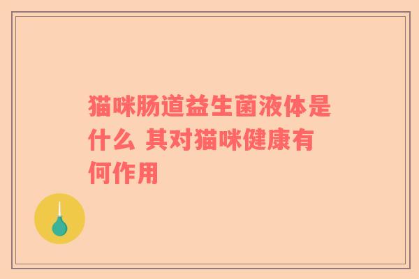 猫咪肠道益生菌液体是什么 其对猫咪健康有何作用