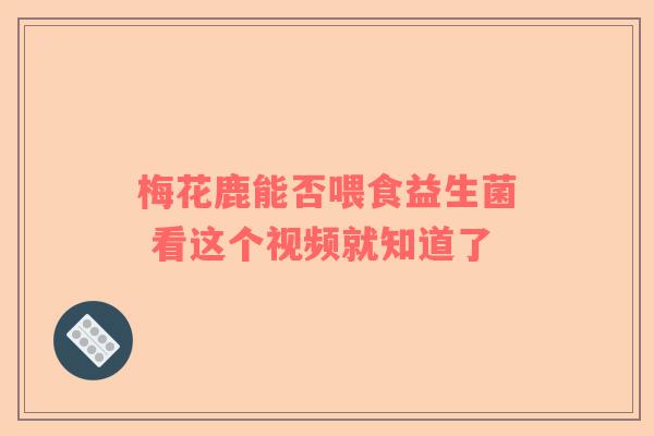 梅花鹿能否喂食益生菌 看这个视频就知道了 梅花鹿能否喂食益生菌 看这个视频就知道了