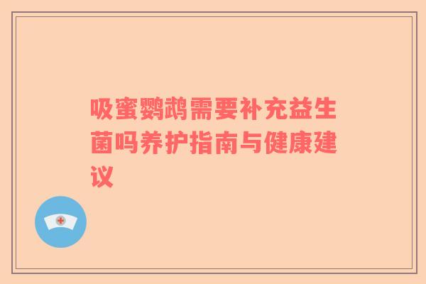 吸蜜鹦鹉需要补充益生菌吗养护指南与健康建议