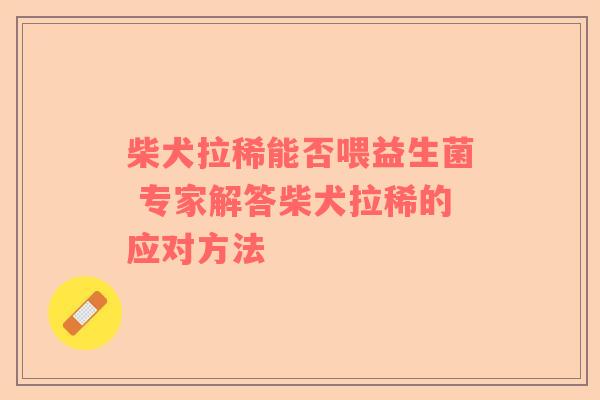 柴犬拉稀能否喂益生菌 专家解答柴犬拉稀的应对方法